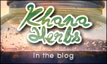 Herb in the blog